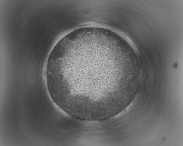 X0000116611247201001081204