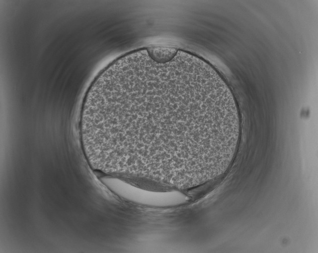 X0000116611248201001081204