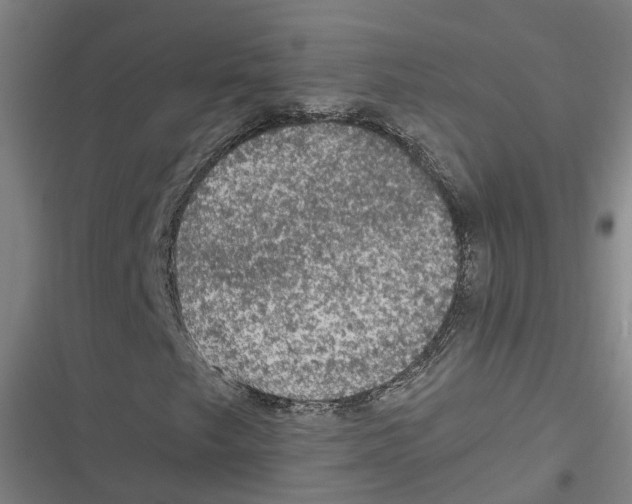 X0000116611249201001081203