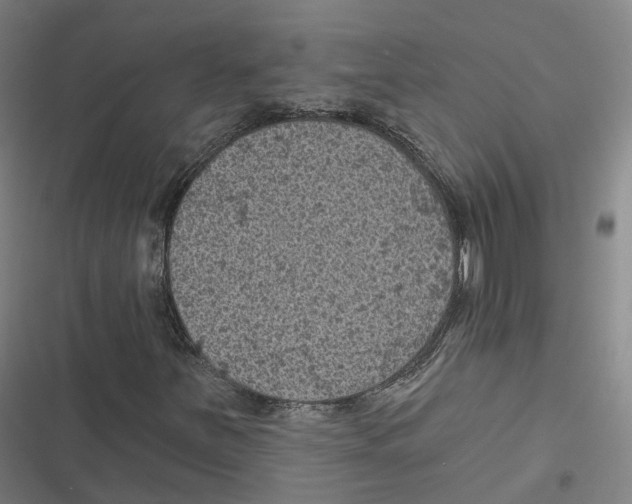 X0000116611251201001081203