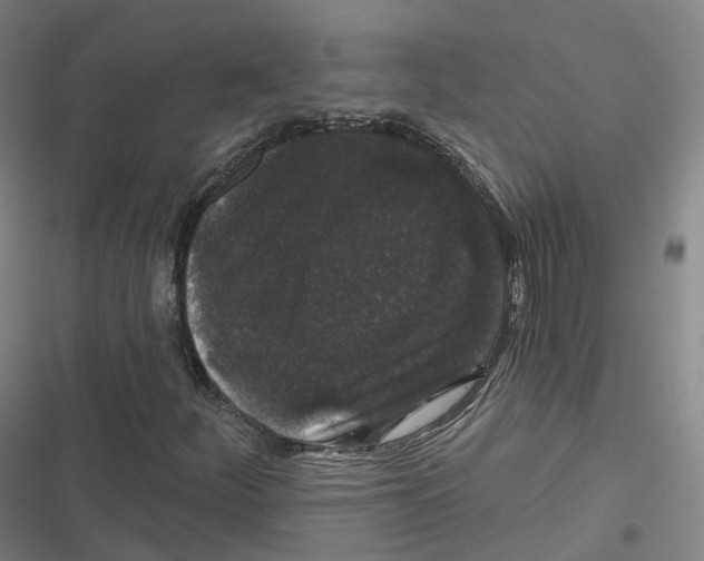 X0000116611252201001081203