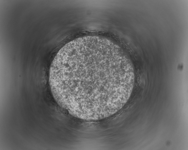 X0000116611253201001081203