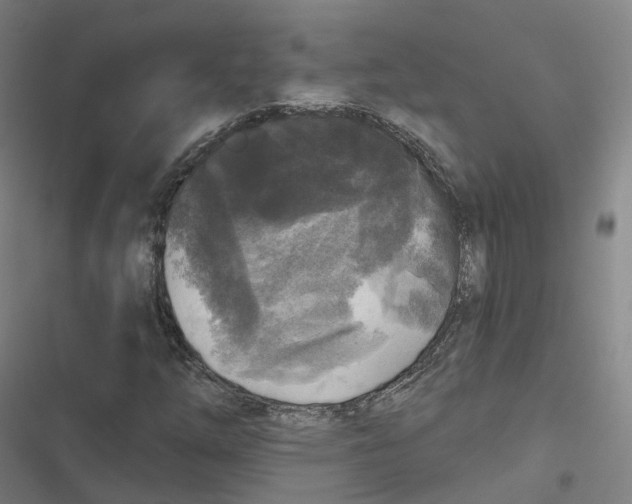 X0000116611254201001081203