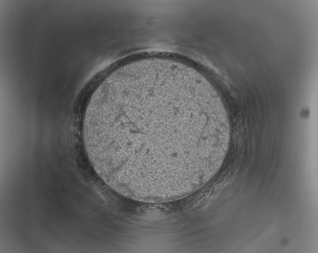 X0000116611255201001081203