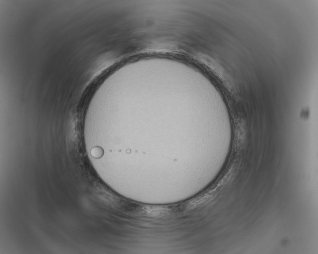 X0000116611258201001081203