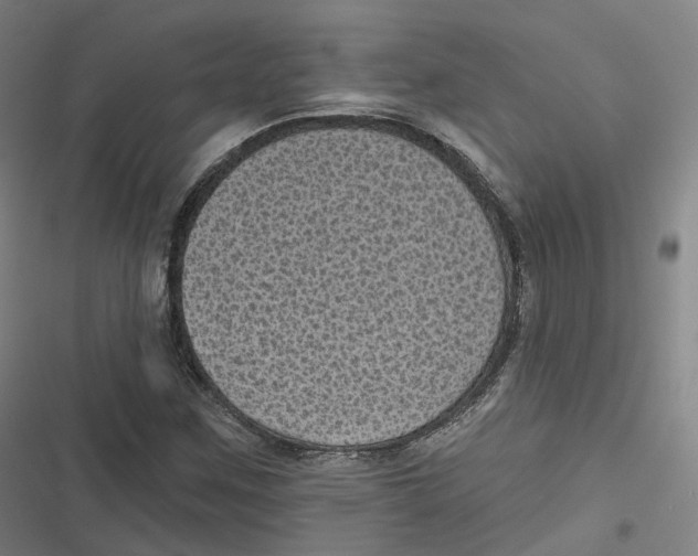 X0000116611259201001081203