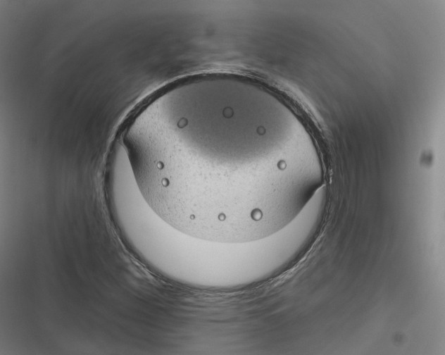 X0000116611260201001081203