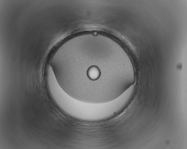 X0000116611261201001081203