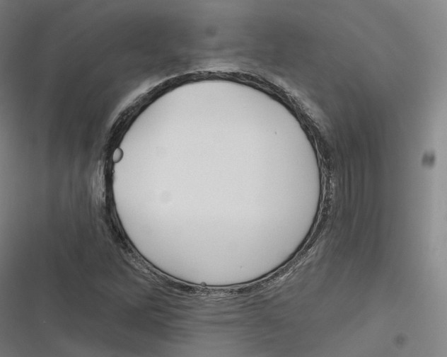 X0000116611262201001081203