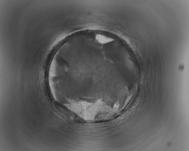 X0000116611263201001081203