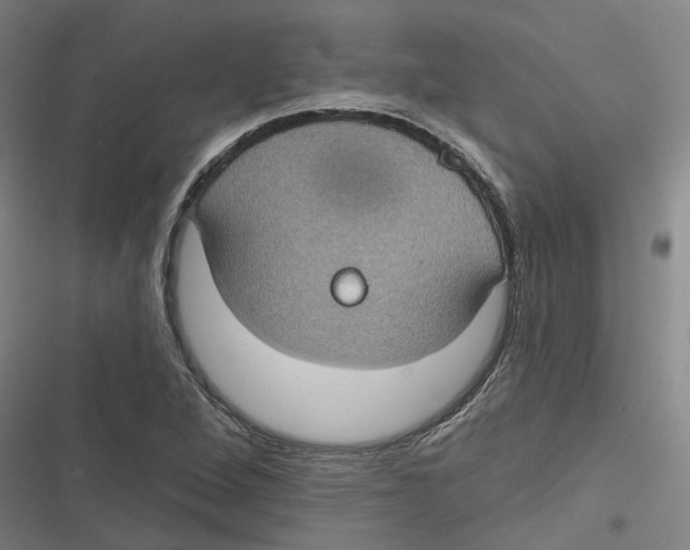 X0000116611264201001081203