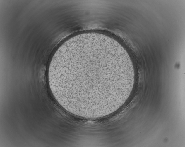 X0000116611265201001081203