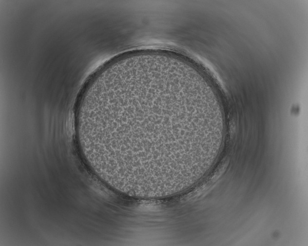 X0000116611267201001081203