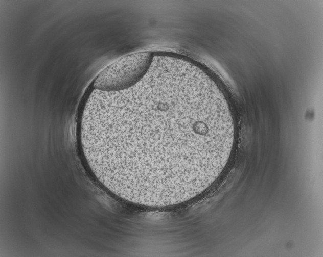 X0000116611268201001081203