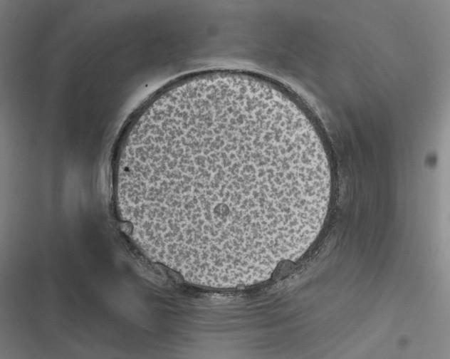 X0000116611271201001081203