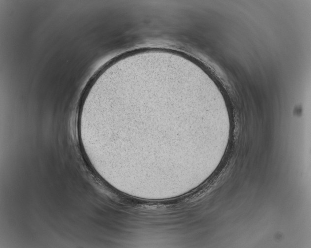 X0000116611272201001081203