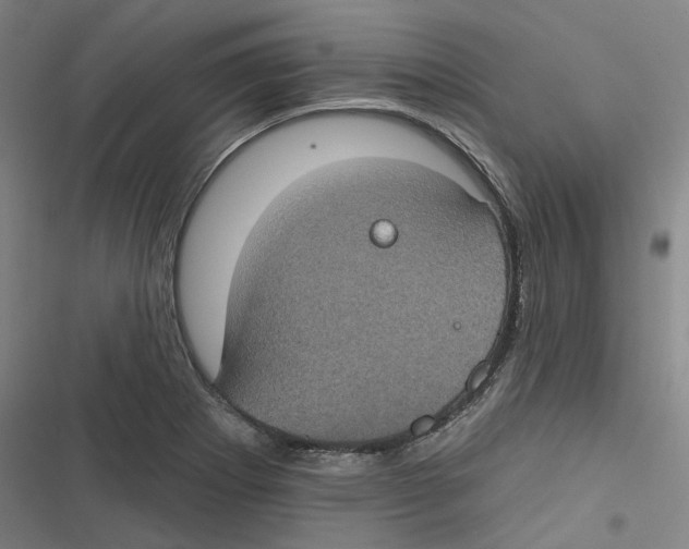 X0000116611273201001081203