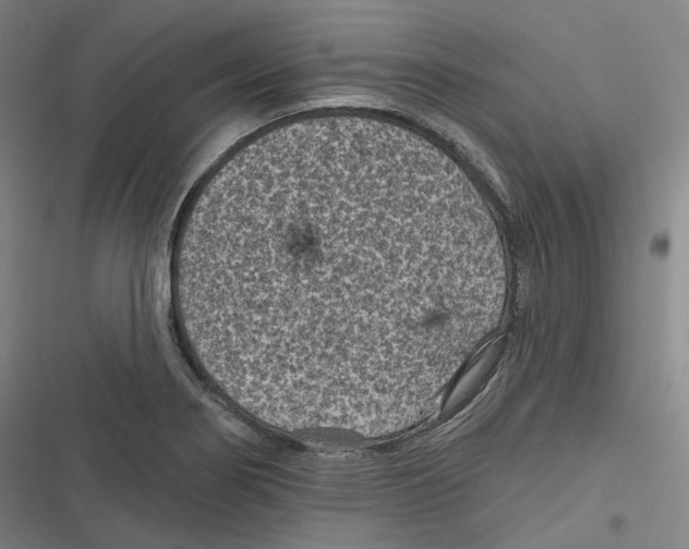 X0000116611274201001081203