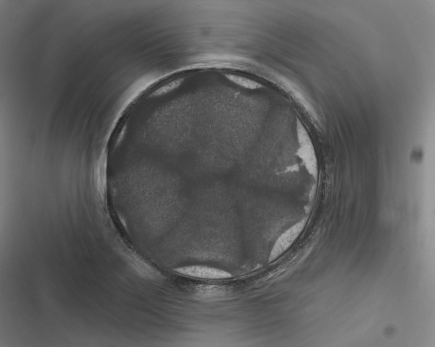 X0000116611275201001081203