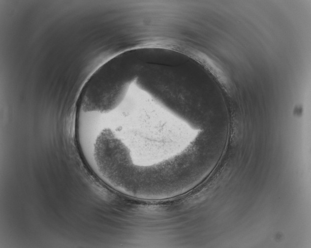 X0000116611276201001081203