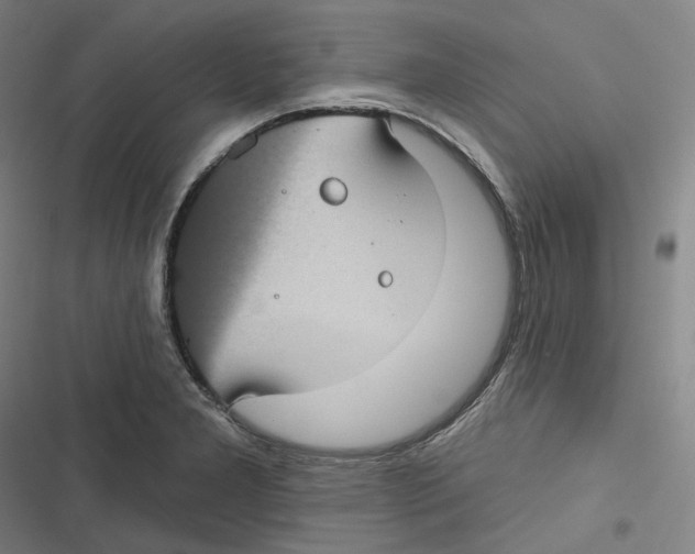 X0000116611277201001081203