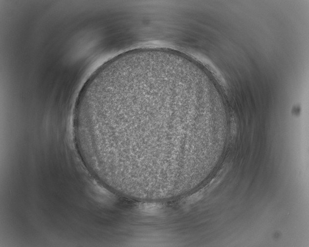 X0000116611278201001081203