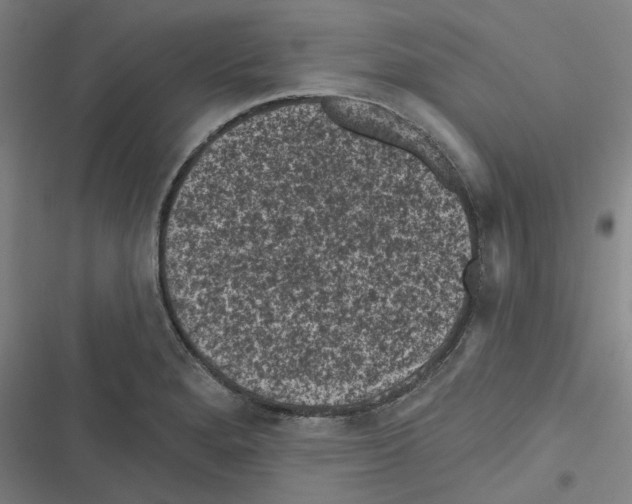 X0000116611280201001081203