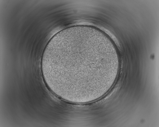 X0000116611281201001081203