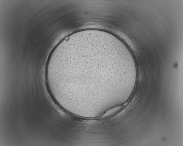 X0000116611282201001081203