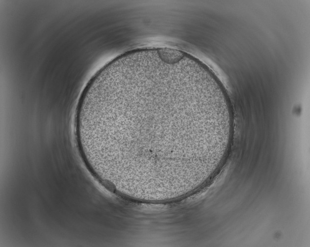 X0000116611285201001081203