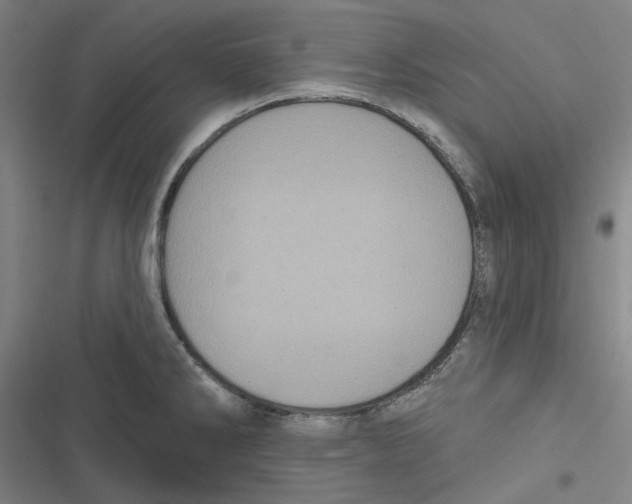 X0000116611286201001081203