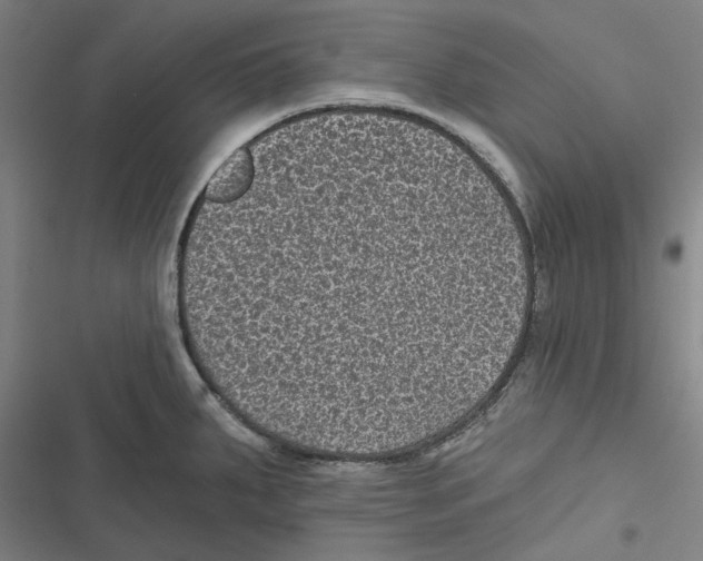 X0000116611287201001081203