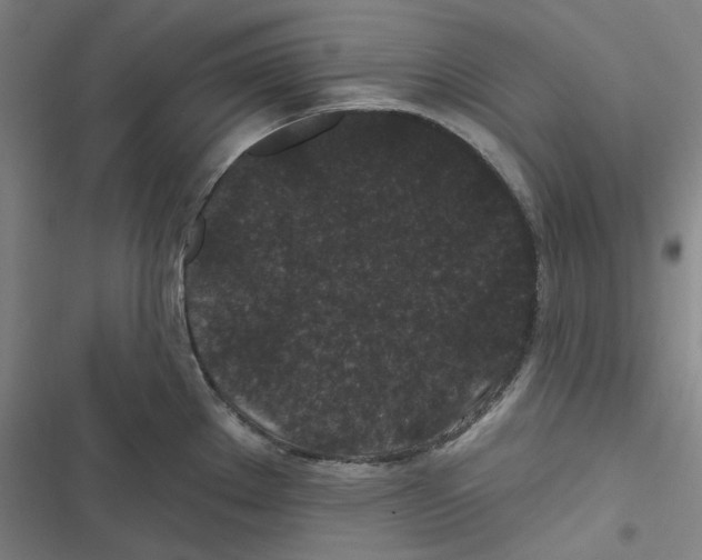 X0000116611289201001081203