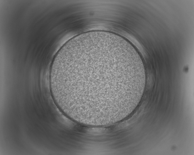 X0000116611290201001081203