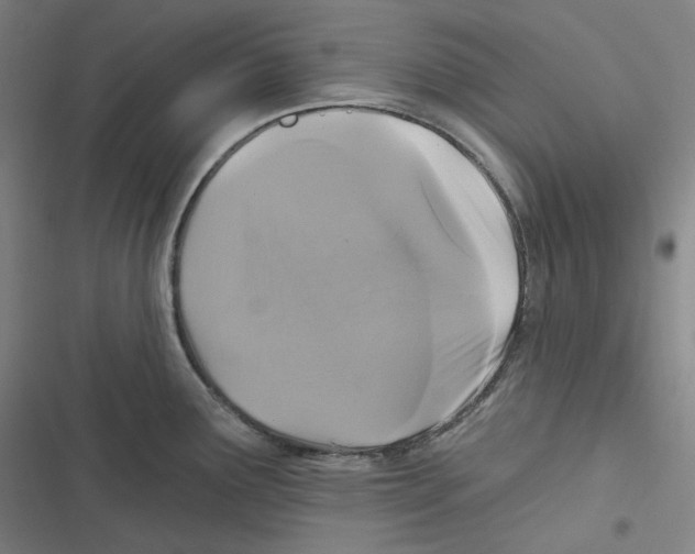 X0000116611291201001081203