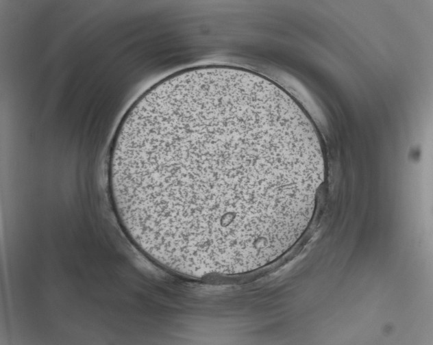 X0000116611292201001081203