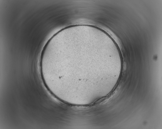 X0000116611293201001081203