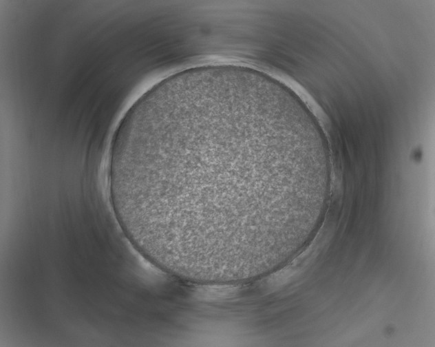 X0000116611294201001081203