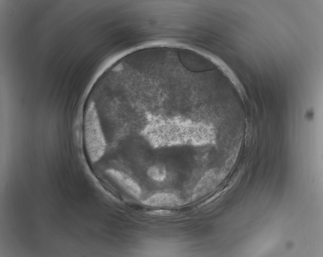 X0000116611295201001081203