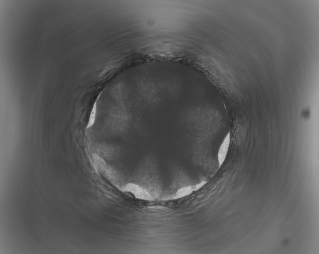 X0000116611297201001081202