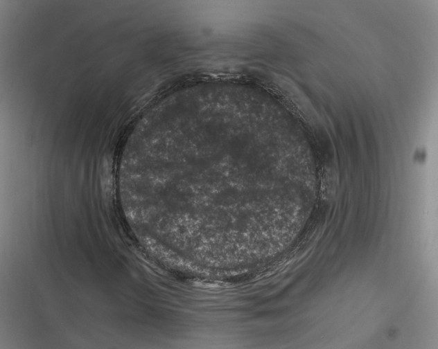 X0000116611298201001081202