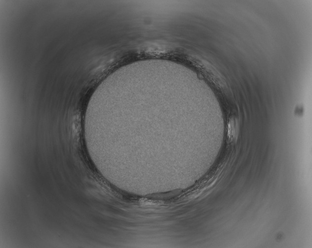 X0000116611299201001081202