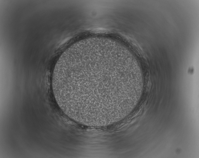 X0000116611301201001081202