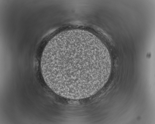 X0000116611302201001081202