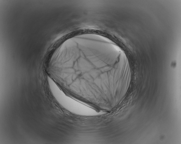 X0000116611303201001081202