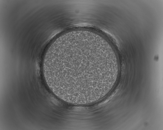 X0000116611305201001081202