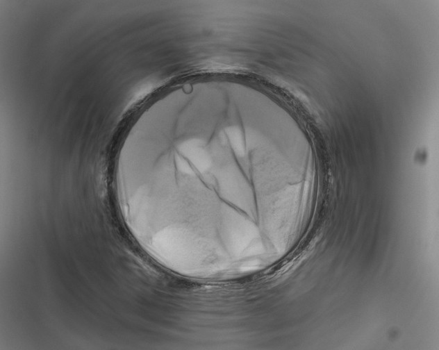 X0000116611306201001081202