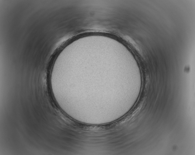 X0000116611307201001081202