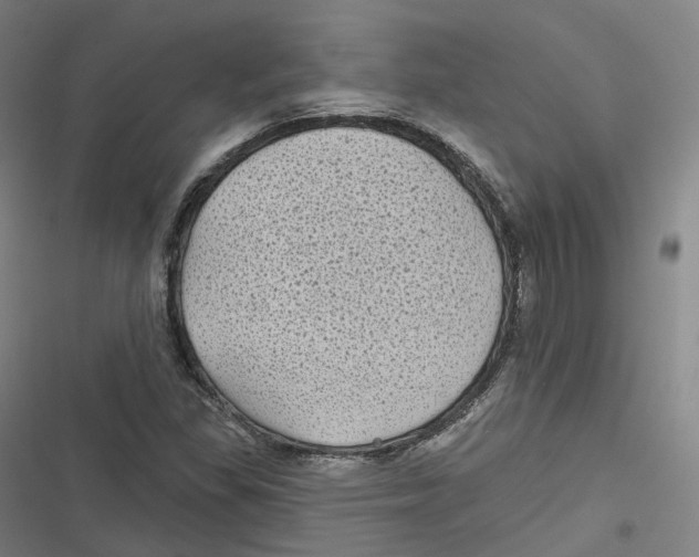 X0000116611309201001081202