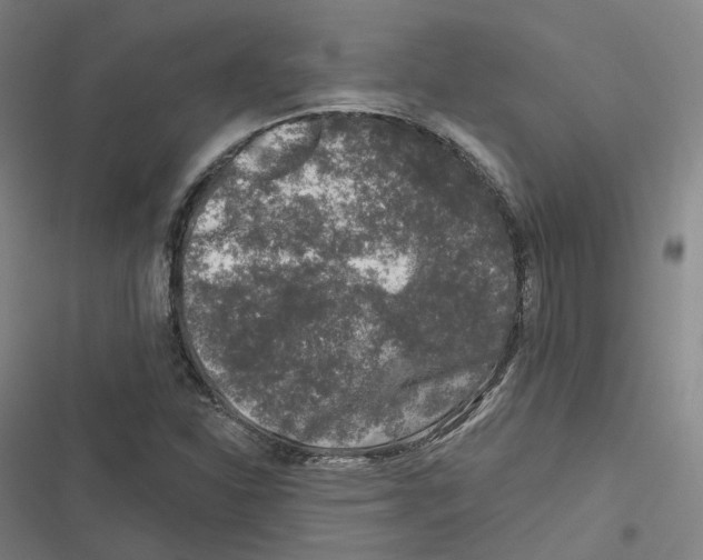 X0000116611310201001081202